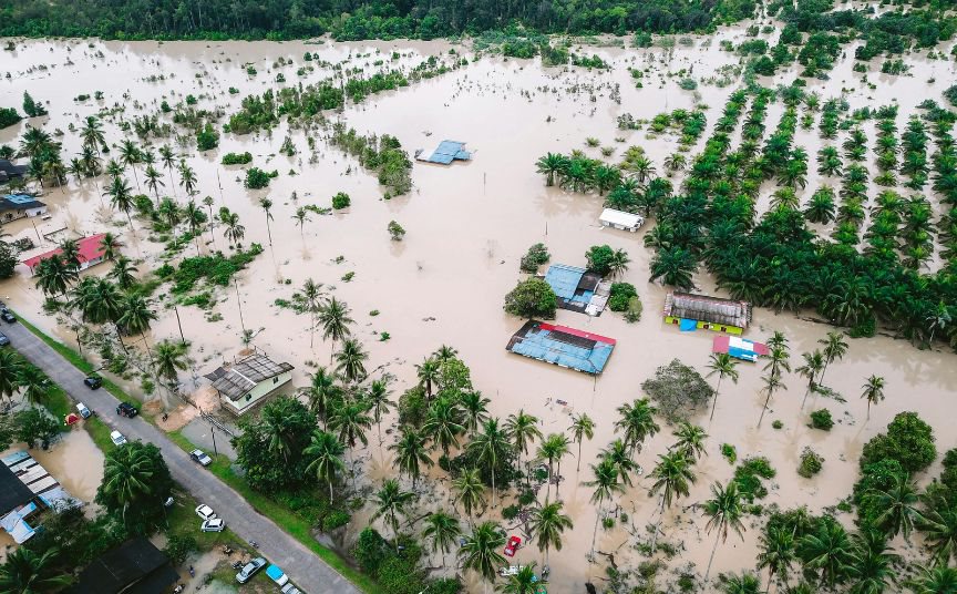 OpenFlows Flood