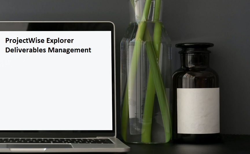 ProjectWise Explorer