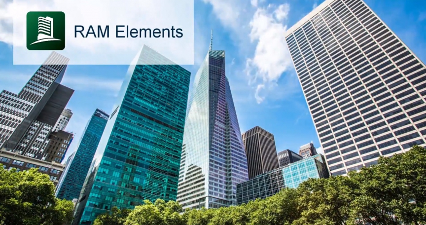 RAM Elements - Introduction